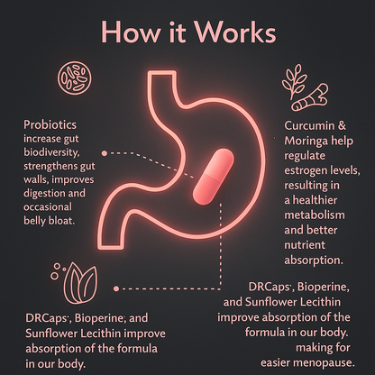 HerMeno Inc.™ Menopause Probiotic Herbal Capsules